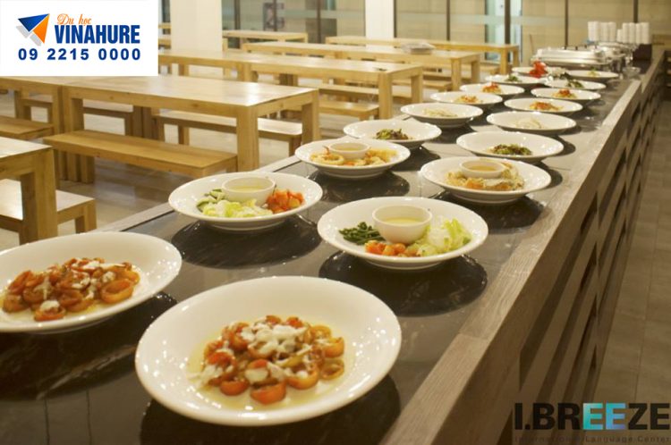 Trường anh ngữ I BREEZE – Campus mới của trường B.O.C