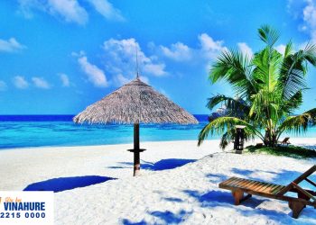 Gấp! Gấp! Gấp – Chỉ còn duy nhất 5 suất học bổng miễn phí 6 tuần học phí tại E Room