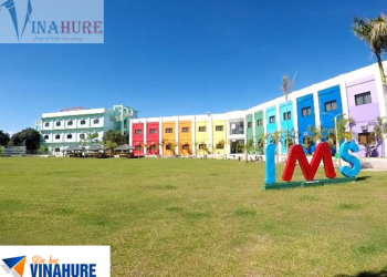 Học IELTS tại IMS năm 2023 – Chất lượng chuẩn quốc tế