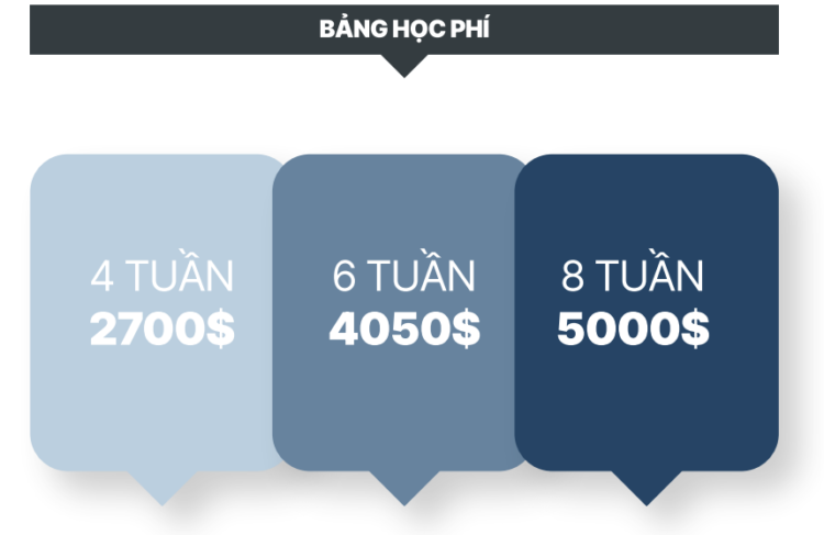 Đón chào trại hè tiếng Anh năm 2023 cùng trường Anh ngữ CIA